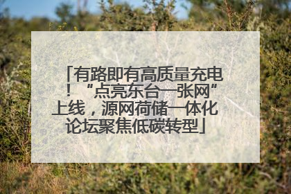 有路即有高质量充电！“点亮东台一张网”上线，源网荷储一体化论坛聚焦低碳转型