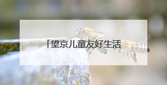 望京儿童友好生活节启幕，商圈组建“萌娃观察团”