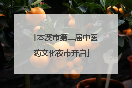 本溪市第二届中医药文化夜市开启