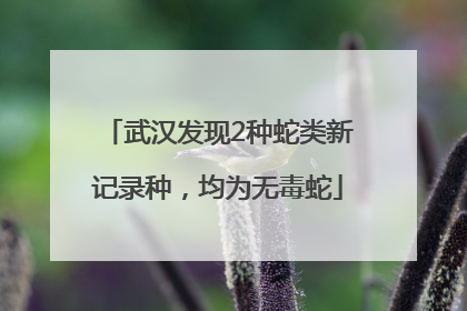 武汉发现2种蛇类新记录种，均为无毒蛇