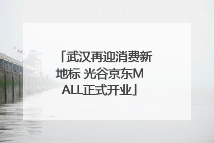 武汉再迎消费新地标 光谷京东MALL正式开业
