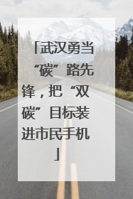 武汉勇当“碳”路先锋，把“双碳”目标装进市民手机