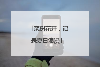 栾树花开，记录夏日浪漫