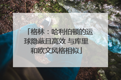 格林：哈利伯顿的运球隐蔽且高效 与库里和欧文风格相似