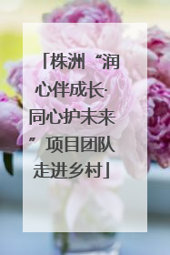 株洲“润心伴成长·同心护未来”项目团队走进乡村