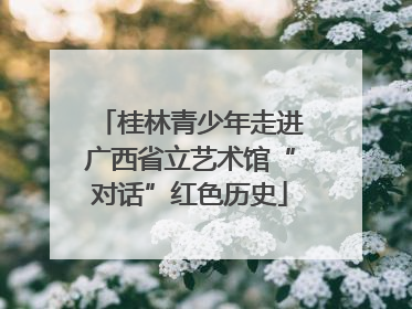 桂林青少年走进广西省立艺术馆“对话”红色历史
