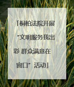 桐柏法院开展“文明服务我出彩 群众满意在窗口”活动