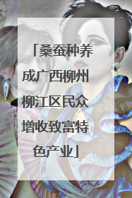 桑蚕种养成广西柳州柳江区民众增收致富特色产业