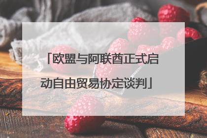 欧盟与阿联酋正式启动自由贸易协定谈判