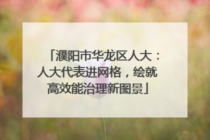濮阳市华龙区人大：人大代表进网格，绘就高效能治理新图景