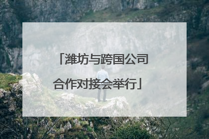 潍坊与跨国公司合作对接会举行