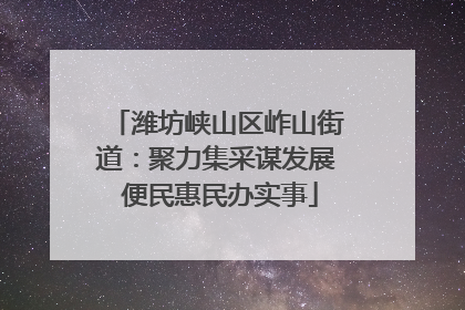 潍坊峡山区岞山街道：聚力集采谋发展 便民惠民办实事