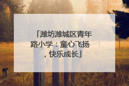 潍坊潍城区青年路小学：童心飞扬，快乐成长