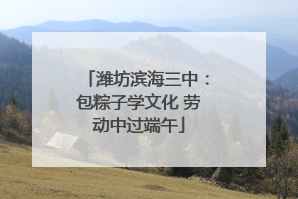 潍坊滨海三中：包粽子学文化 劳动中过端午