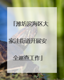 潍坊滨海区大家洼街道开展安全巡查工作