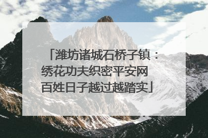 潍坊诸城石桥子镇：绣花功夫织密平安网 百姓日子越过越踏实
