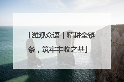潍观众语｜精耕全链条，筑牢丰收之基