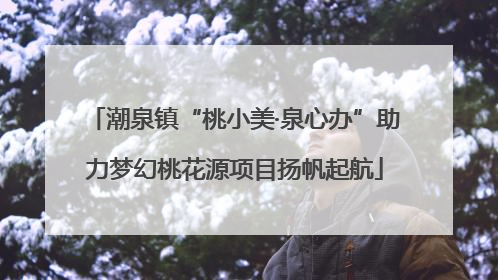 潮泉镇“桃小美·泉心办”助力梦幻桃花源项目扬帆起航
