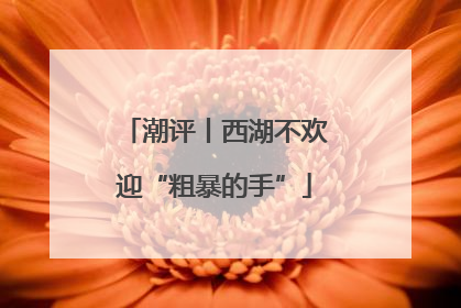 潮评丨西湖不欢迎“粗暴的手”