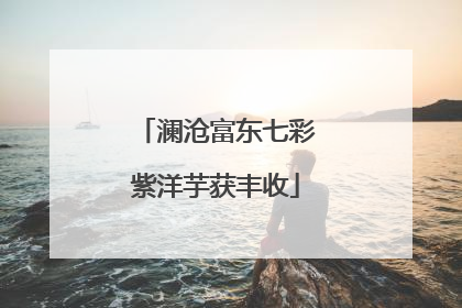 澜沧富东七彩紫洋芋获丰收