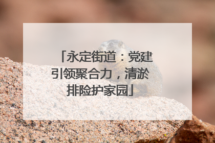 永定街道：党建引领聚合力，清淤排险护家园