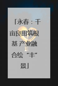 永春：千亩良田筑根基 产业融合绘“丰”景