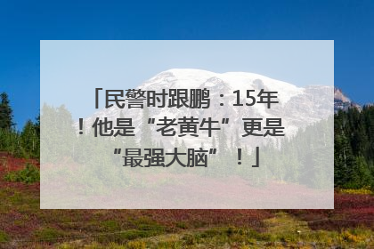 民警时跟鹏：15年！他是“老黄牛”更是“最强大脑”！