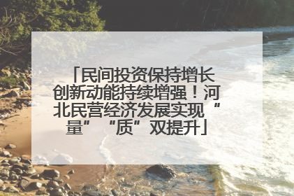 民间投资保持增长 创新动能持续增强！河北民营经济发展实现“量”“质”双提升