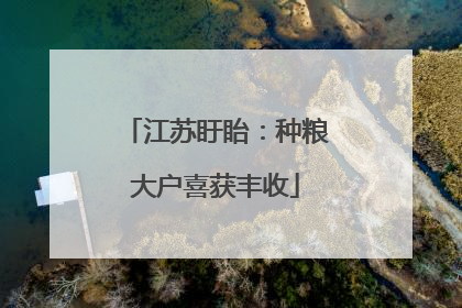 江苏盱眙：种粮大户喜获丰收