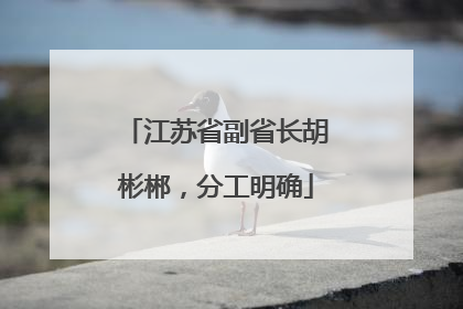 江苏省副省长胡彬郴，分工明确