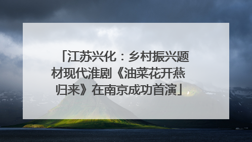 江苏兴化：乡村振兴题材现代淮剧《油菜花开燕归来》在南京成功首演
