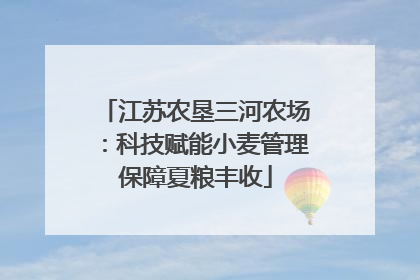 江苏农垦三河农场：科技赋能小麦管理保障夏粮丰收