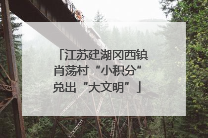 江苏建湖冈西镇肖荡村“小积分”兑出“大文明”