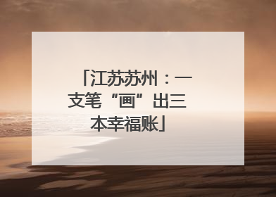 江苏苏州：一支笔“画”出三本幸福账