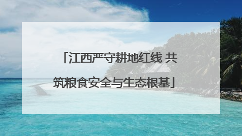 江西严守耕地红线 共筑粮食安全与生态根基