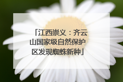 江西崇义：齐云山国家级自然保护区发现蜘蛛新种