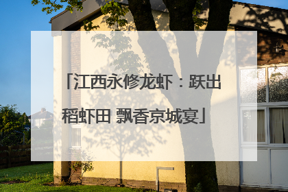 江西永修龙虾：跃出稻虾田 飘香京城宴