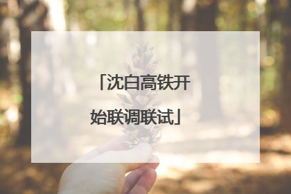 沈白高铁开始联调联试