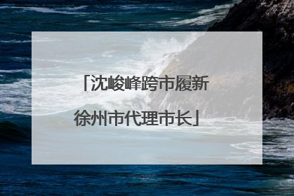沈峻峰跨市履新徐州市代理市长