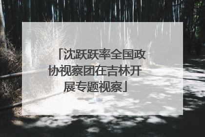 沈跃跃率全国政协视察团在吉林开展专题视察