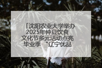 沈阳农业大学举办2025年仲夏饮食文化节多元活动点亮毕业季 “辽宁优品”进校园首站启动