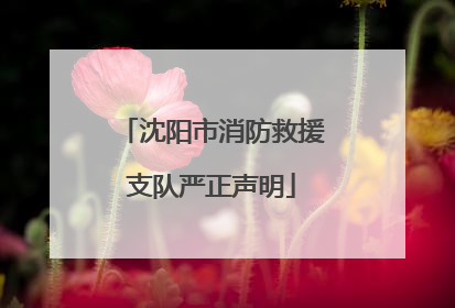 沈阳市消防救援支队严正声明