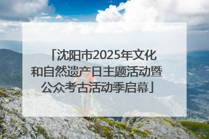 沈阳市2025年文化和自然遗产日主题活动暨公众考古活动季启幕