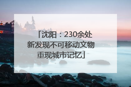 沈阳：230余处新发现不可移动文物重现城市记忆
