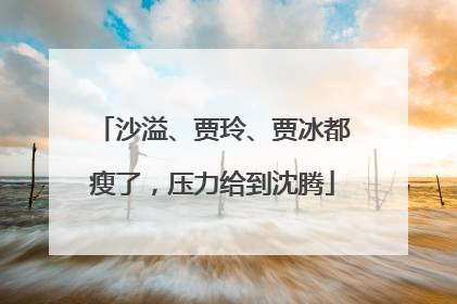 沙溢、贾玲、贾冰都瘦了，压力给到沈腾