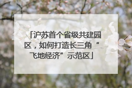 沪苏首个省级共建园区，如何打造长三角“飞地经济”示范区