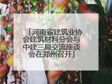 河南省建筑业协会建筑材料分会与中建三局交流座谈会在郑州召开