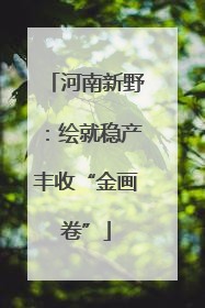 河南新野：绘就稳产丰收“金画卷”