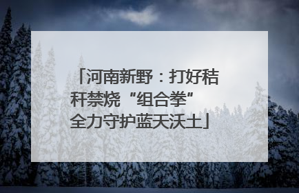 河南新野：打好秸秆禁烧“组合拳” 全力守护蓝天沃土