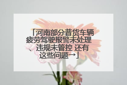 河南部分普货车辆疲劳驾驶报警未处理、违规未管控 还有这些问题→